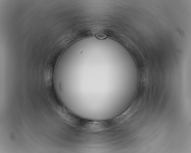 X0000112870082200909041629