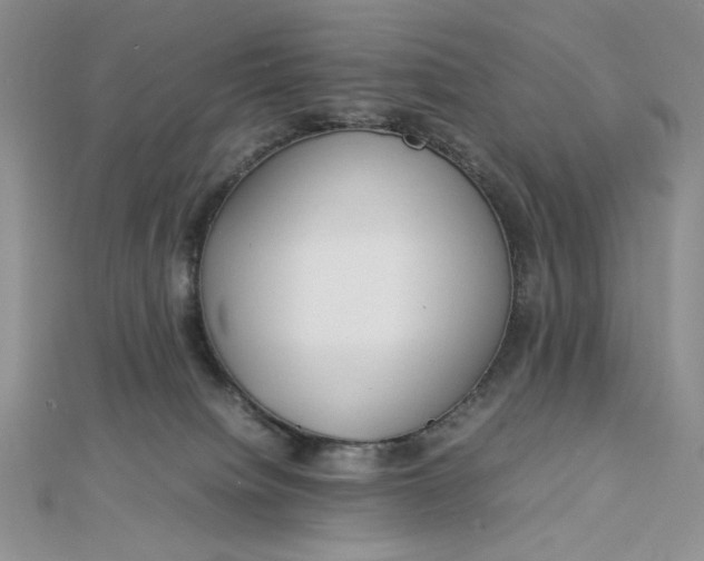 X0000112870084200909041629