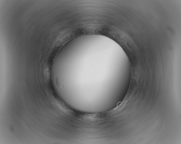 X0000112870086200909041630