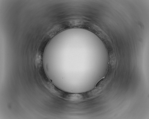 X0000112870087200909041630