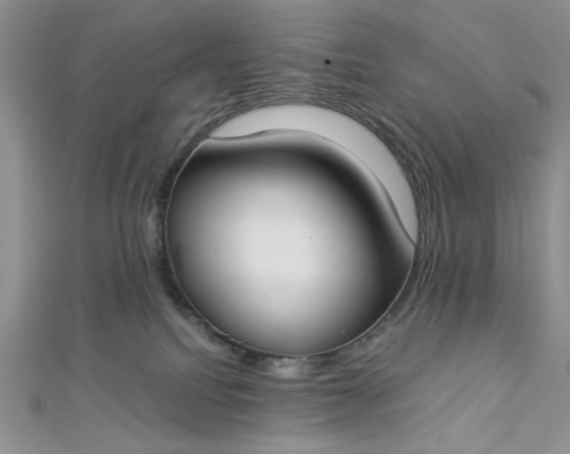 X0000112870088200909041630