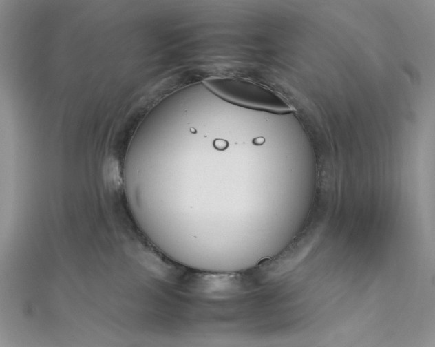 X0000112870089200909041630