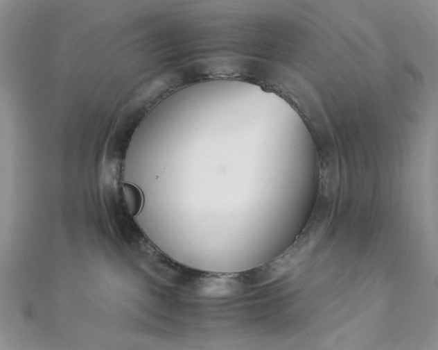 X0000112870093200909041630