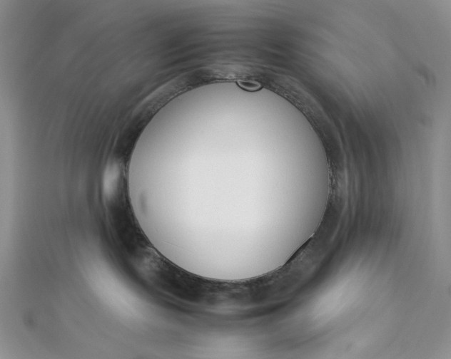 X0000112870095200909041630