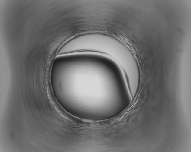 X0000112870097200909041629