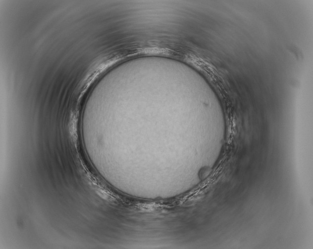 X0000112870098200909041629