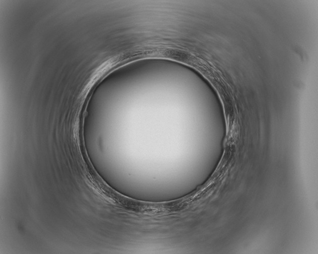 X0000112870099200909041629