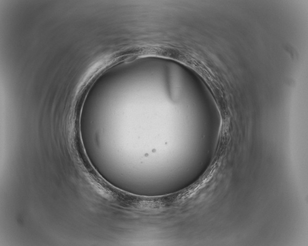 X0000112870101200909041629