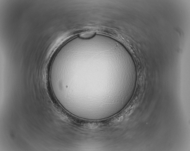 X0000112870103200909041629