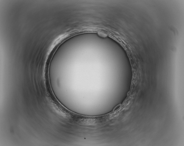 X0000112870104200909041629