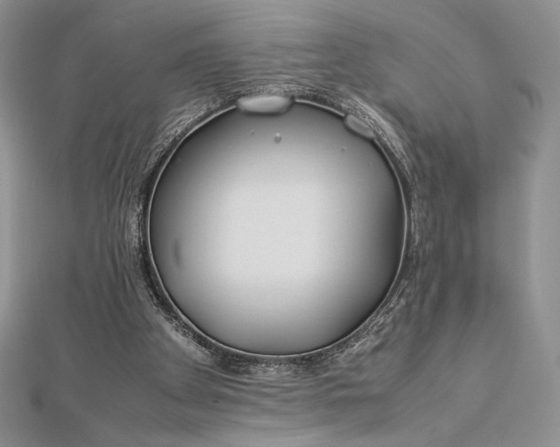 X0000112870105200909041629