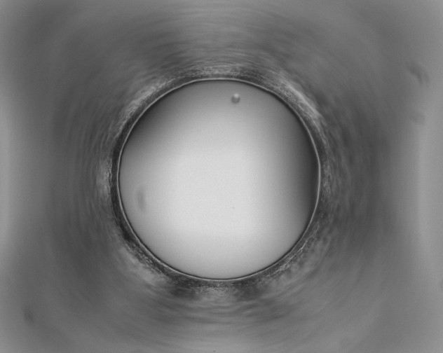 X0000112870107200909041629