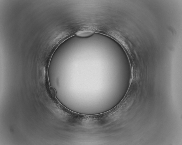 X0000112870109200909041629