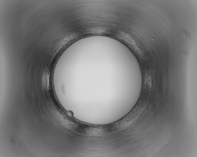 X0000112870110200909041629