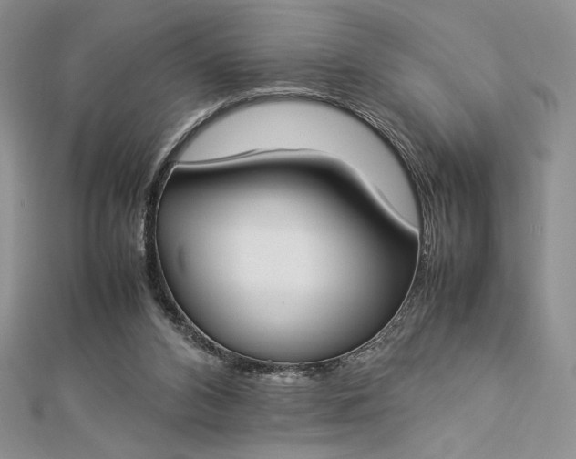 X0000112870112200909041629