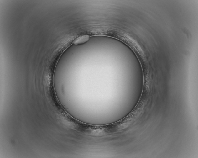 X0000112870113200909041629