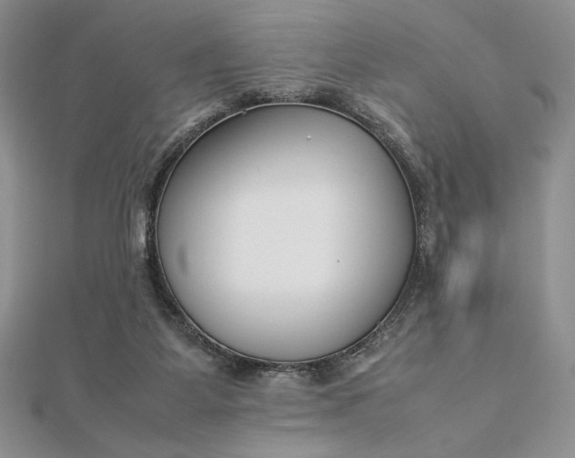 X0000112870115200909041629