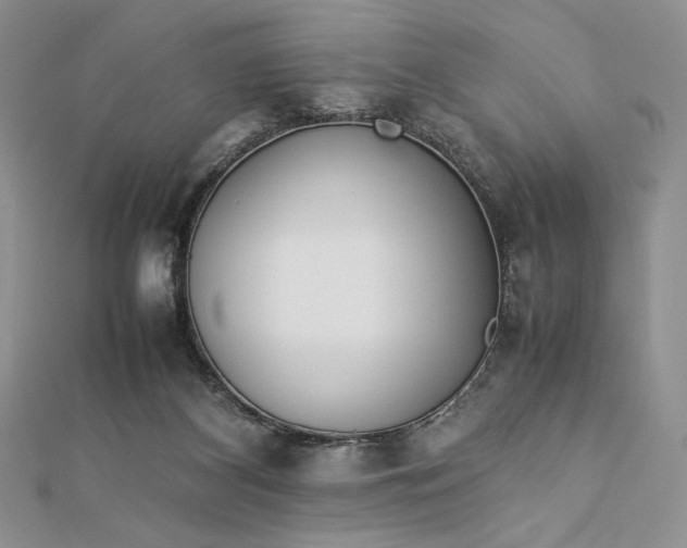 X0000112870116200909041629