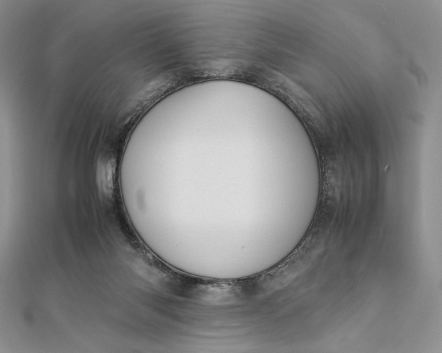 X0000112870118200909041629