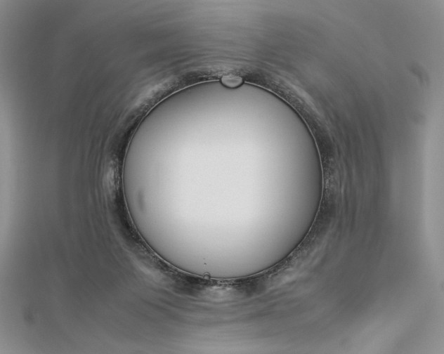 X0000112870119200909041629