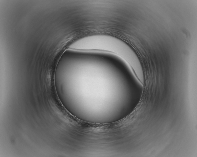 X0000112870120200909041629