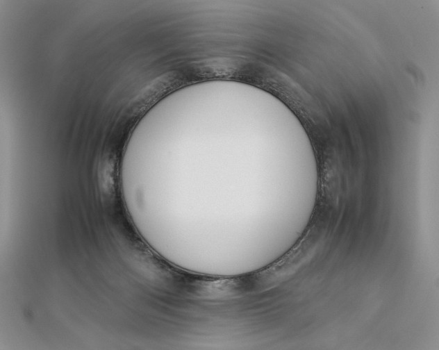 X0000112870122200909041629