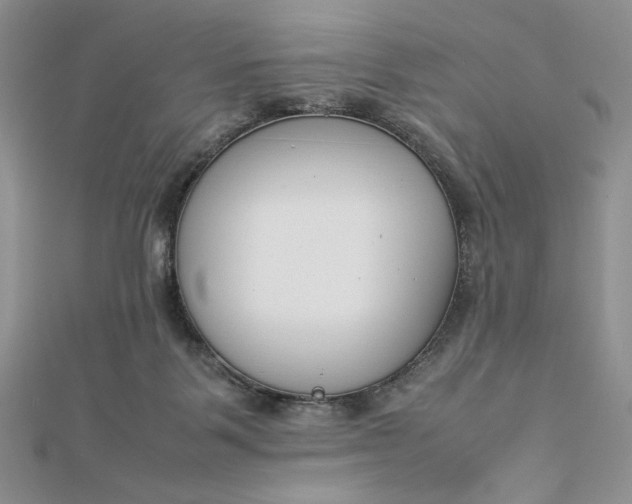 X0000112870123200909041629