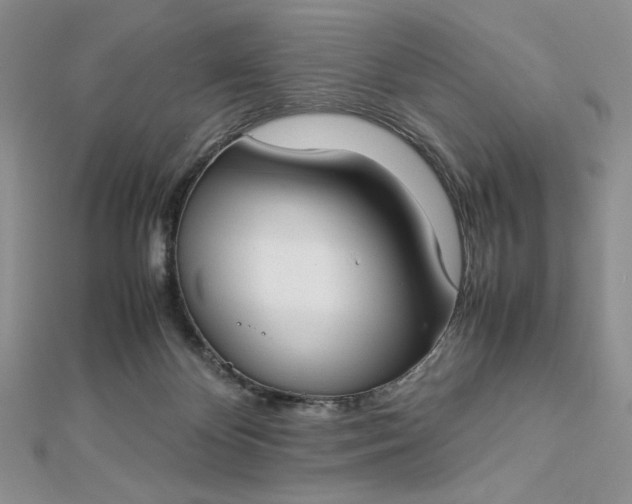 X0000112870124200909041629