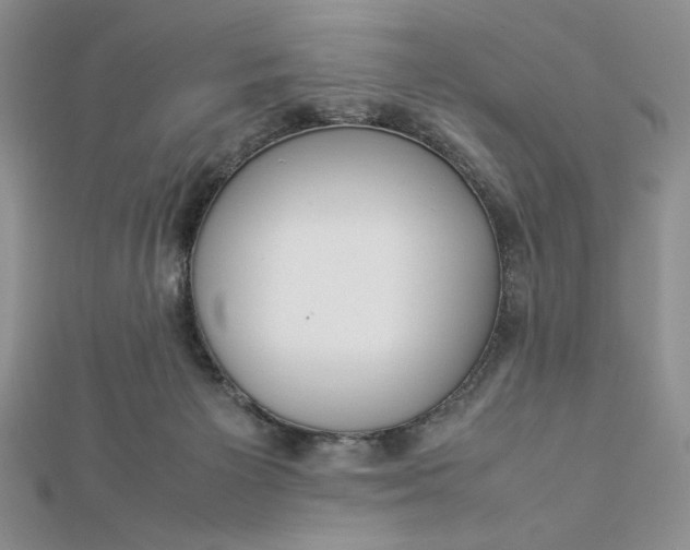 X0000112870125200909041629