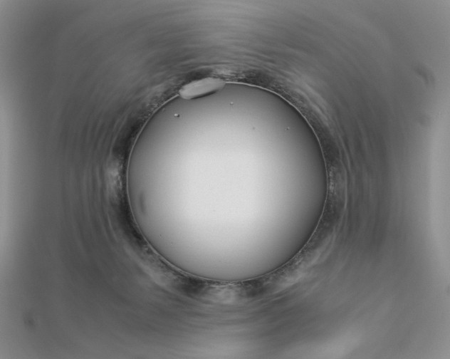 X0000112870127200909041629