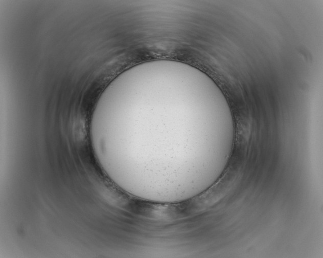 X0000112870130200909041629