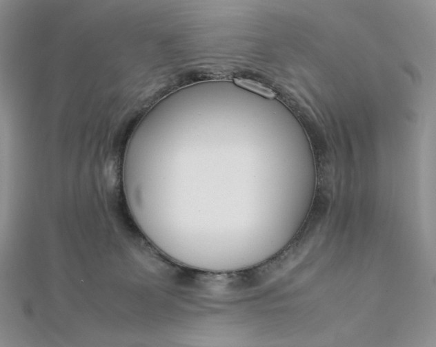 X0000112870131200909041629