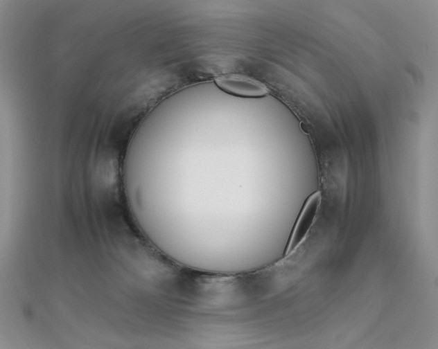 X0000112870132200909041629