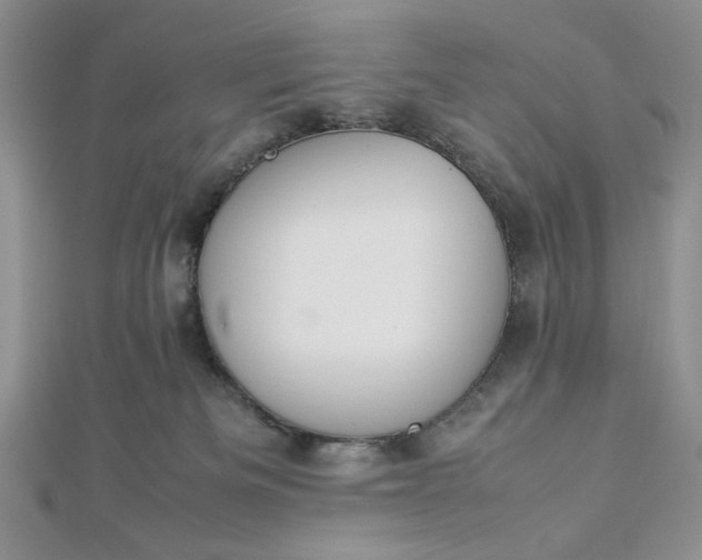 X0000112870133200909041629