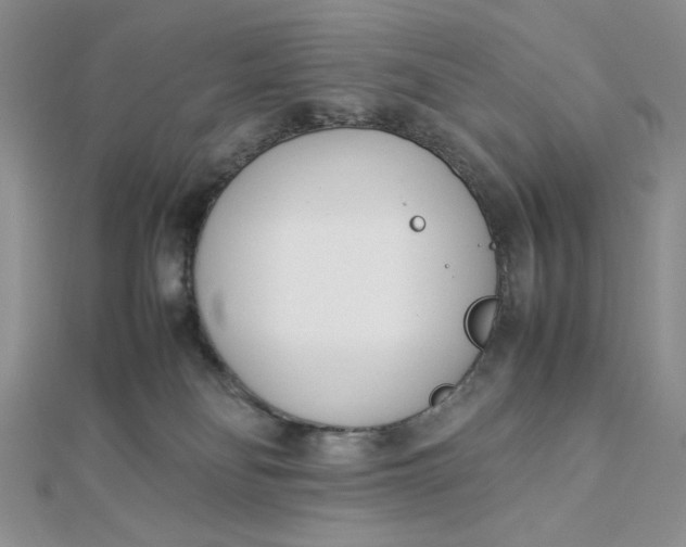 X0000112870134200909041629