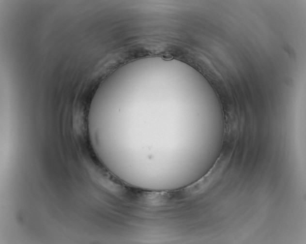 X0000112870136200909041629