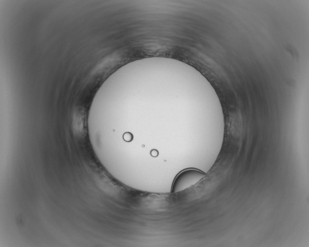 X0000112870138200909041629