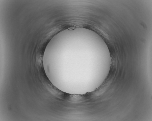 X0000112870141200909041628