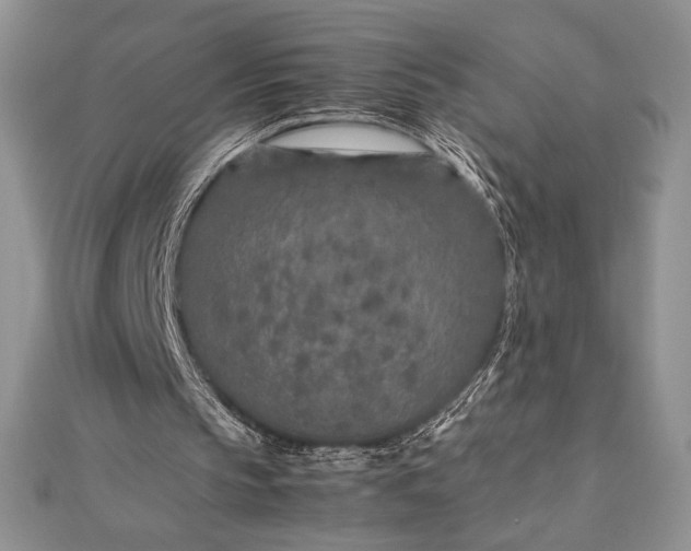 X0000112870145200909041628