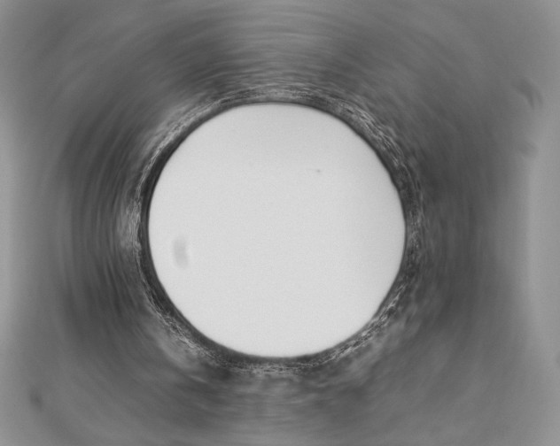 X0000112870146200909041628