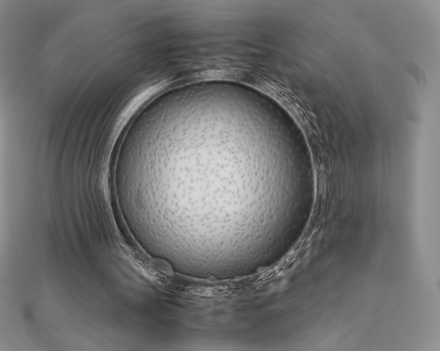 X0000112870147200909041628