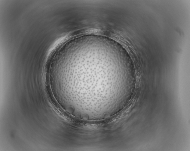 X0000112870149200909041628