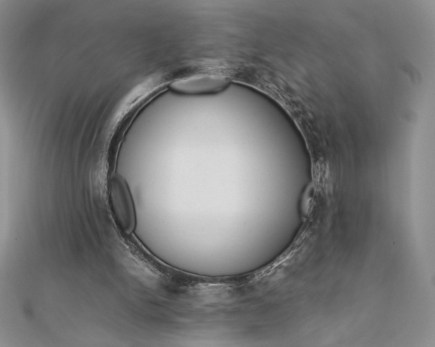 X0000112870150200909041628