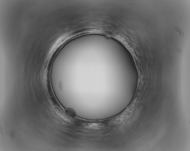 X0000112870151200909041628