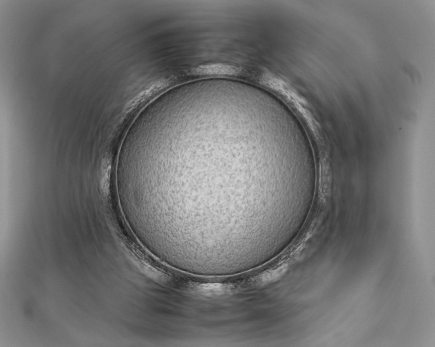 X0000112870153200909041628