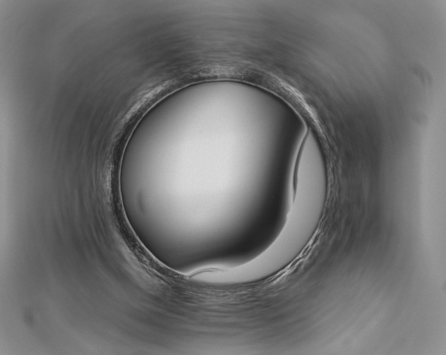 X0000112870154200909041628