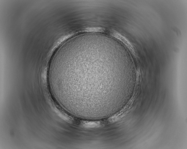 X0000112870155200909041628