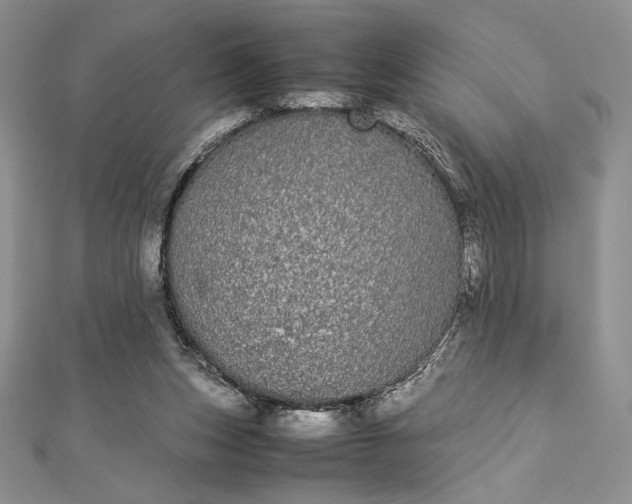 X0000112870159200909041628