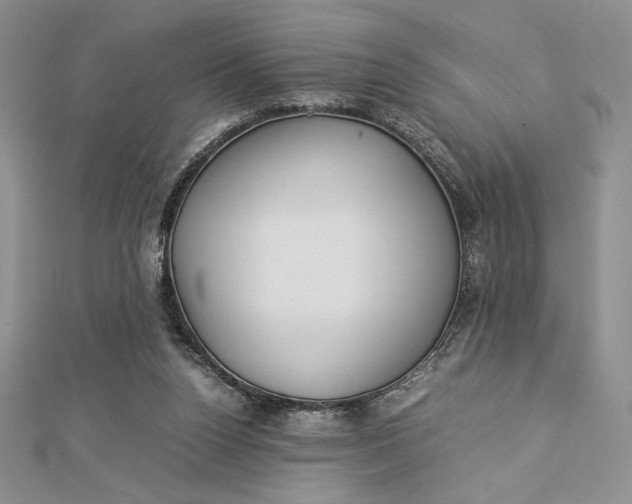 X0000112870160200909041628