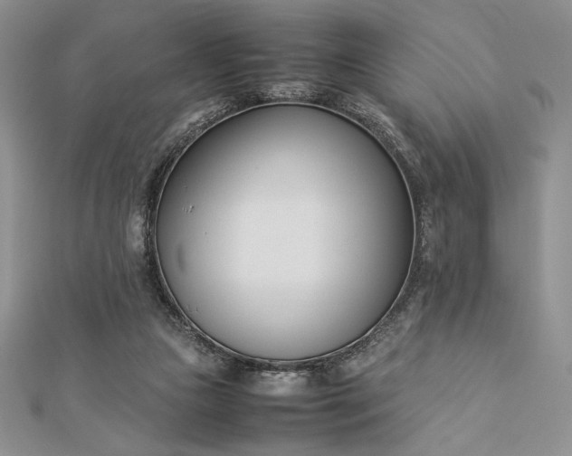 X0000112870161200909041628